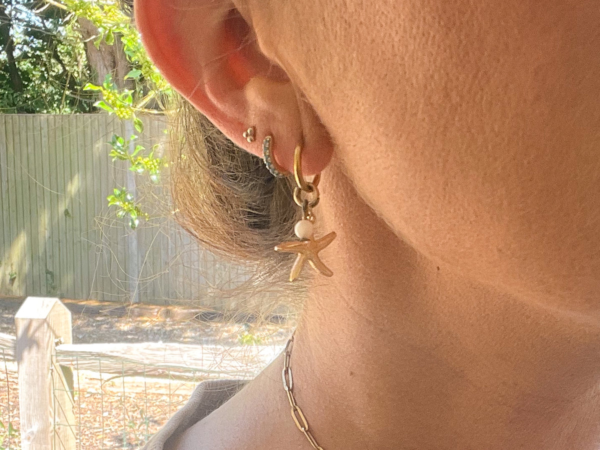 Starfish Earrings