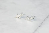 Scattered Star Studs